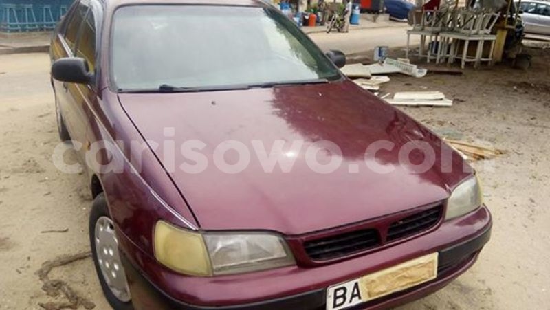 Big with watermark 13659059 542556909261377 7228661200358374501 n