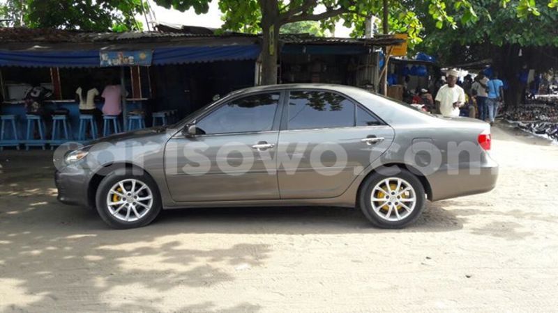 Big with watermark 14572839 1276538899057194 7605807282165903254 n