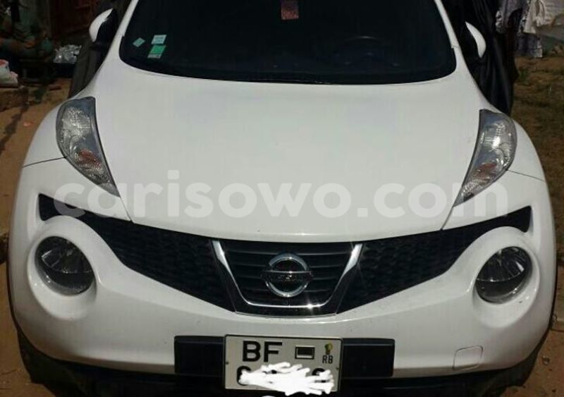 Big with watermark 14572839 1276538899057194 7605807282165903254 n