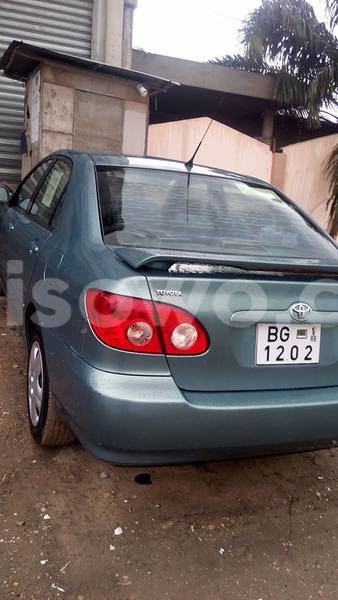 Big with watermark 13686585 542341252616276 2787040303626125743 n