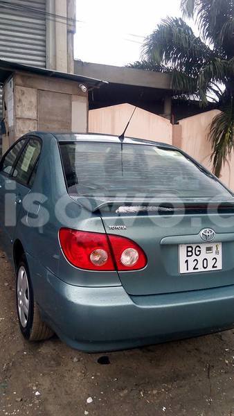 Big with watermark 13709938 542341272616274 183109787957520433 n