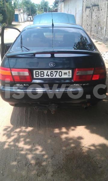 Big with watermark 13726790 542340925949642 1736369055247607754 n