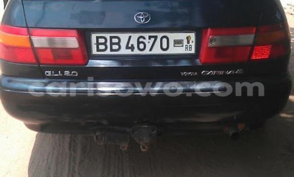 Acheter Neuf Voiture Toyota Carina Noir à Abomey Calavi, Benin Acheter Neuf Voiture Toyota Carina Noir à Abomey Calavi, Benin