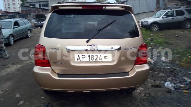 Big with watermark 13659017 542337315950003 2610498481216292777 n