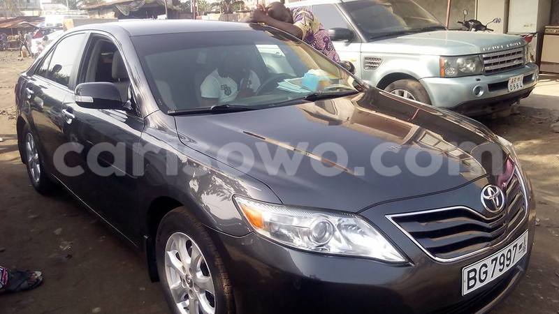 Big with watermark 13709792 542332412617160 1115062213832458029 n