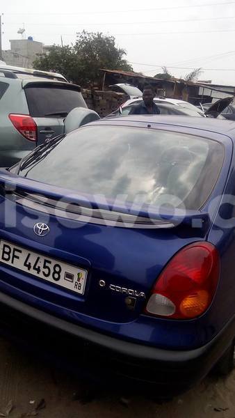 Big with watermark 13728894 542331209283947 8435129393779086847 n