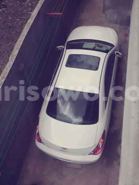 Big with watermark 13466527 534427213407680 4535177536947131137 n