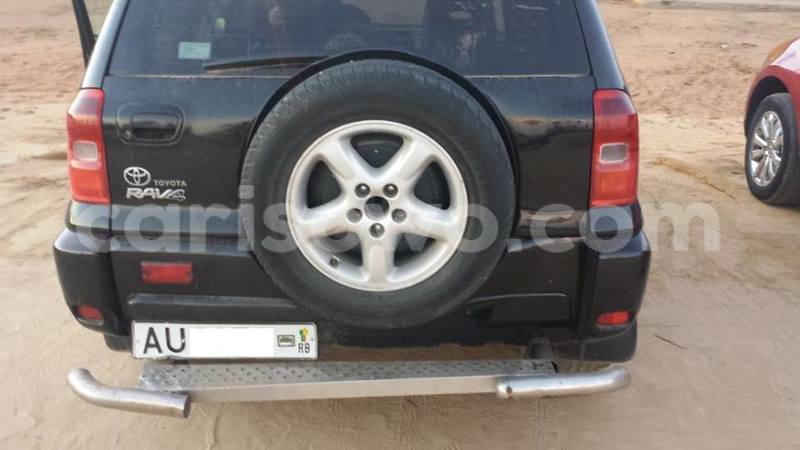 Big with watermark 13537546 534422423408159 3010989829870936119 n