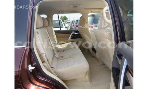 Buy Import Toyota Land Cruiser Other Car in Import - Dubai in Benign Buy Import Toyota Land Cruiser Other Car in Import - Dubai in Benign
