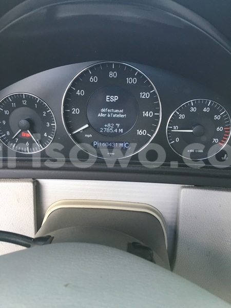 Big with watermark img 1048