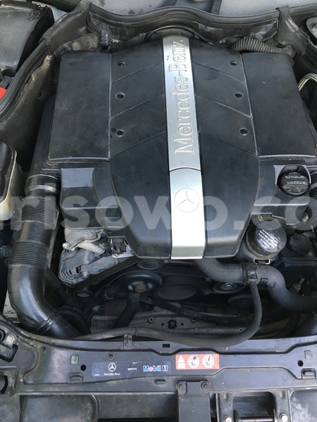 Big with watermark img 1053