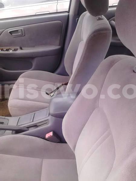 Big with watermark 13886922 1232420363475342 7558501082839291746 n