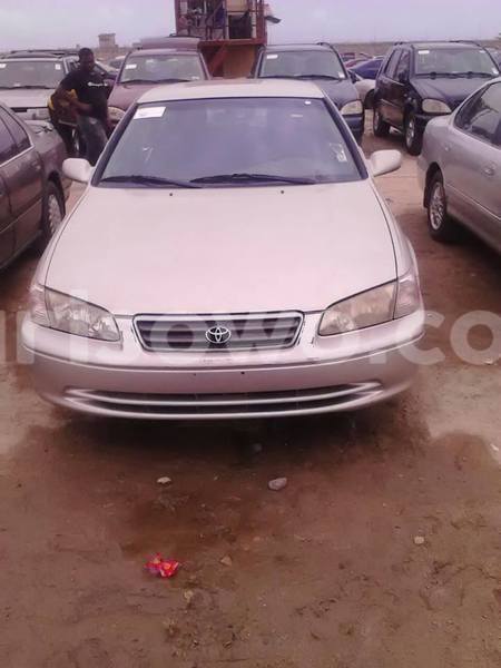 Big with watermark 13925273 1232420156808696 8640643560786095751 n