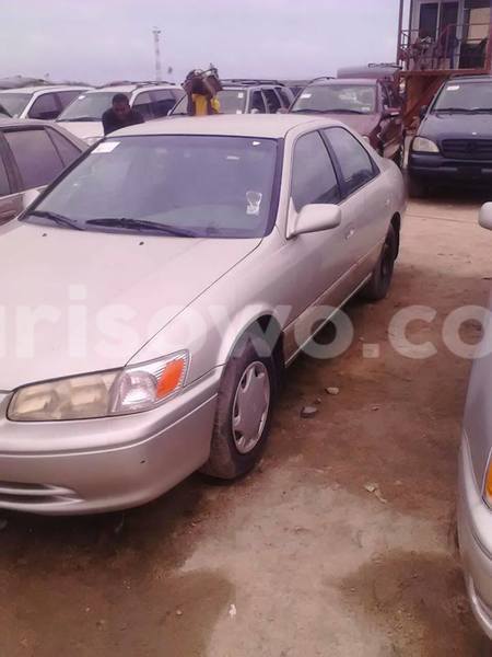 Big with watermark 13887046 1232420066808705 709587656225220608 n