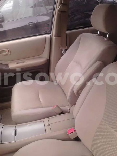 Big with watermark 13882411 1232417753475603 2983469672903938868 n