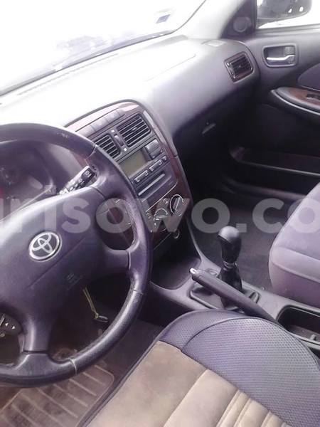 Big with watermark 13901390 1232417333475645 143652553397174377 n