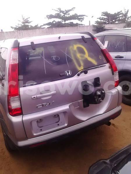 Big with watermark 13876288 1232415616809150 4731509552066215463 n