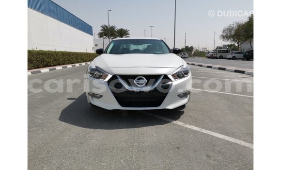 Acheter Import Voiture Nissan Maxima Blanc à Import - Dubai, Benin Acheter Import Voiture Nissan Maxima Blanc à Import - Dubai, Benin