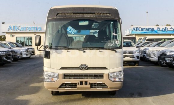 Sayi Imported Toyota Coaster White Babbar mota in Import - Dubai a Benin Sayi Imported Toyota Coaster White Babbar mota in Import - Dubai a Benin