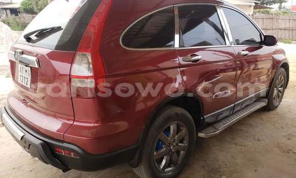Ra Àlòkù Honda CR–V Red Ọkọ̀ in Cotonou ni Benin Ra Àlòkù Honda CR–V Red Ọkọ̀ in Cotonou ni Benin