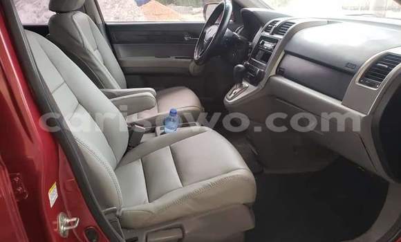 Ra Àlòkù Honda CR–V Red Ọkọ̀ in Cotonou ni Benin Ra Àlòkù Honda CR–V Red Ọkọ̀ in Cotonou ni Benin
