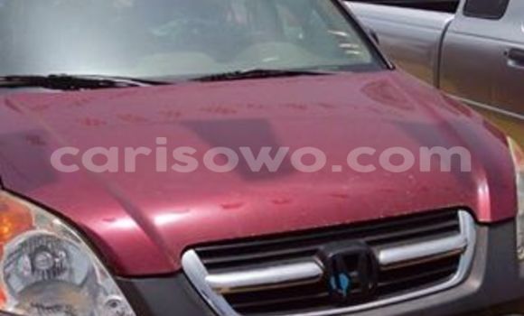 Buy Used Honda CR–V Red Car in Cotonou in Benign Buy Used Honda CR–V Red Car in Cotonou in Benign