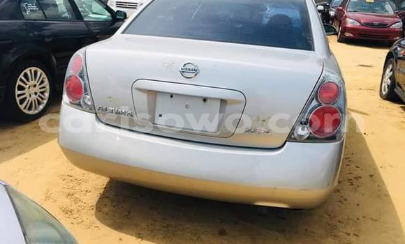 Acheter Occasion Voiture Nissan Altima Gris à Cotonou, Benin Acheter Occasion Voiture Nissan Altima Gris à Cotonou, Benin