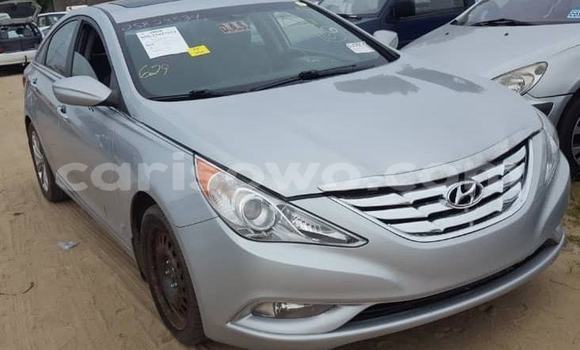 Acheter Occasion Voiture Hyundai Sonata Gris à Cotonou, Benin Acheter Occasion Voiture Hyundai Sonata Gris à Cotonou, Benin
