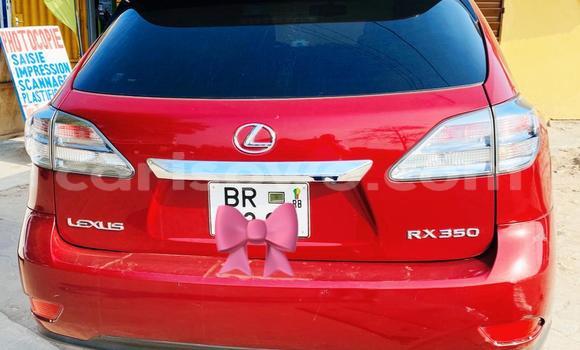 Acheter Neuf Voiture Lexus RX 350 Rouge à Cotonou, Benin Acheter Neuf Voiture Lexus RX 350 Rouge à Cotonou, Benin
