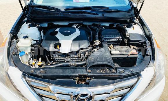 Buy New Hyundai Sonata White Car in Cotonou in Benign Buy New Hyundai Sonata White Car in Cotonou in Benign