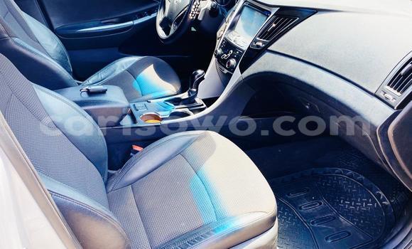 Buy New Hyundai Sonata White Car in Cotonou in Benign Buy New Hyundai Sonata White Car in Cotonou in Benign