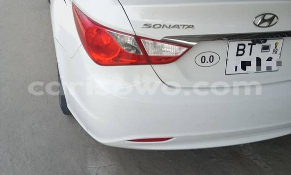 Ra Tuntun Hyundai Sonata funfun Ọkọ̀ in Cotonou ni Benin Ra Tuntun Hyundai Sonata funfun Ọkọ̀ in Cotonou ni Benin