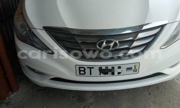 Ra Tuntun Hyundai Sonata funfun Ọkọ̀ in Cotonou ni Benin Ra Tuntun Hyundai Sonata funfun Ọkọ̀ in Cotonou ni Benin