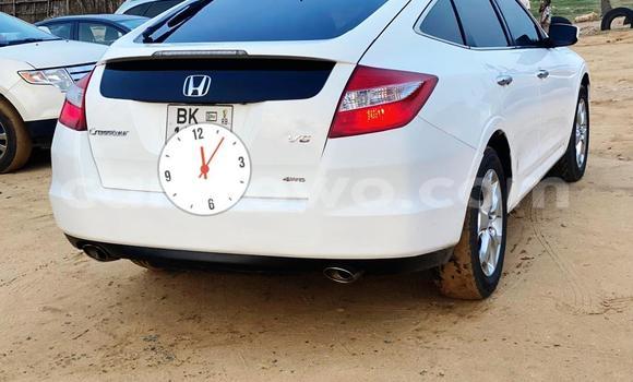 Buy Used Honda Crosstour White Car in Cotonou in Benign Buy Used Honda Crosstour White Car in Cotonou in Benign