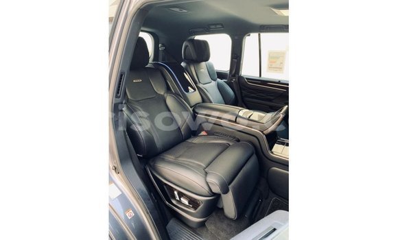 Buy Import Lexus LX Other Car in Import - Dubai in Benign Buy Import Lexus LX Other Car in Import - Dubai in Benign