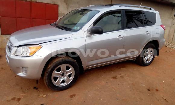 Buy Used Toyota RAV4 Silver Car in Cotonou in Benign Buy Used Toyota RAV4 Silver Car in Cotonou in Benign