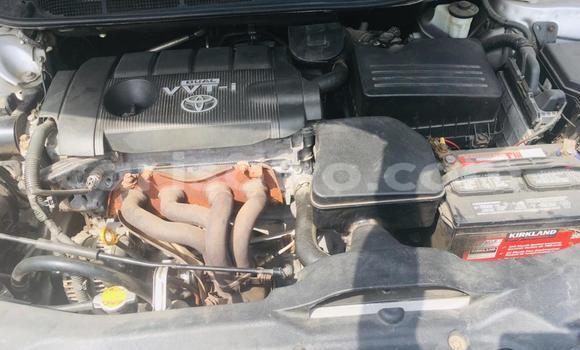 Buy New Toyota Venza Silver Car in Cotonou in Benign Buy New Toyota Venza Silver Car in Cotonou in Benign