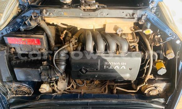 Ra Àlòkù Toyota Matrix Blue Ọkọ̀ in Cotonou ni Benin Ra Àlòkù Toyota Matrix Blue Ọkọ̀ in Cotonou ni Benin