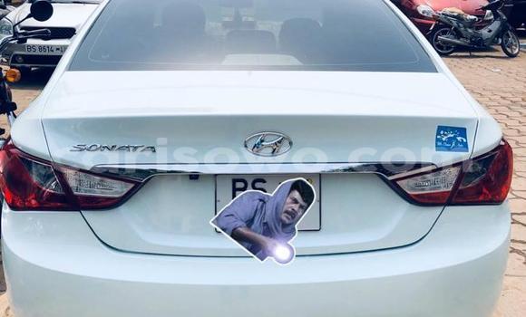 Buy New Hyundai Sonata White Car in Cotonou in Benign Buy New Hyundai Sonata White Car in Cotonou in Benign