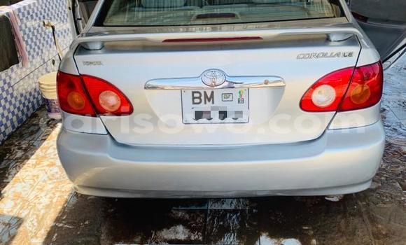 Ra Àlòkù Toyota Corolla Silver Ọkọ̀ in Cotonou ni Benin Ra Àlòkù Toyota Corolla Silver Ọkọ̀ in Cotonou ni Benin