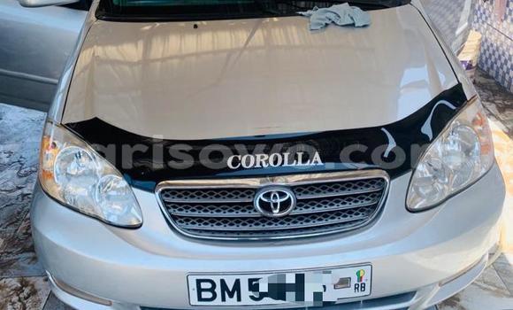 Ra Àlòkù Toyota Corolla Silver Ọkọ̀ in Cotonou ni Benin Ra Àlòkù Toyota Corolla Silver Ọkọ̀ in Cotonou ni Benin