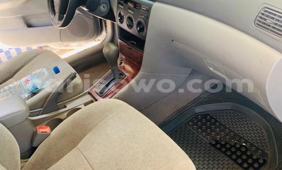 Ra Àlòkù Toyota Corolla Silver Ọkọ̀ in Cotonou ni Benin Ra Àlòkù Toyota Corolla Silver Ọkọ̀ in Cotonou ni Benin