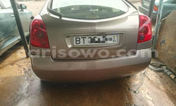 Ra Àlòkù Nissan Primera Brown Ọkọ̀ in Cotonou ni Benin Ra Àlòkù Nissan Primera Brown Ọkọ̀ in Cotonou ni Benin