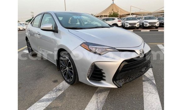 Buy Import Toyota Corolla Other Car in Import - Dubai in Benign Buy Import Toyota Corolla Other Car in Import - Dubai in Benign