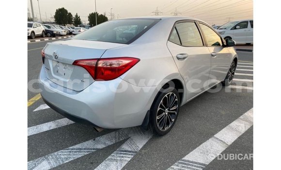 Buy Import Toyota Corolla Other Car in Import - Dubai in Benign Buy Import Toyota Corolla Other Car in Import - Dubai in Benign