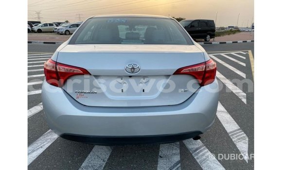 Buy Import Toyota Corolla Other Car in Import - Dubai in Benign Buy Import Toyota Corolla Other Car in Import - Dubai in Benign