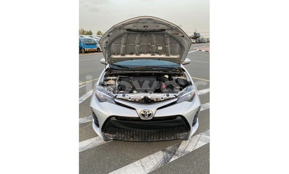 Buy Import Toyota Corolla Other Car in Import - Dubai in Benign Buy Import Toyota Corolla Other Car in Import - Dubai in Benign