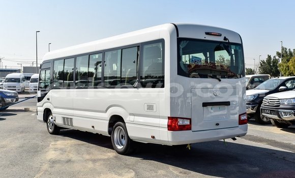Buy Import Toyota Coaster White Truck in Import - Dubai in Benign Buy Import Toyota Coaster White Truck in Import - Dubai in Benign