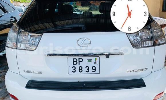 Buy New Lexus RX 330 White Car in Cotonou in Benign Buy New Lexus RX 330 White Car in Cotonou in Benign