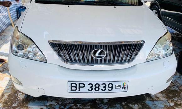 Buy New Lexus RX 330 White Car in Cotonou in Benign Buy New Lexus RX 330 White Car in Cotonou in Benign